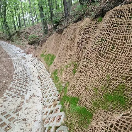 Chalet Hiska Ob Gozdu *