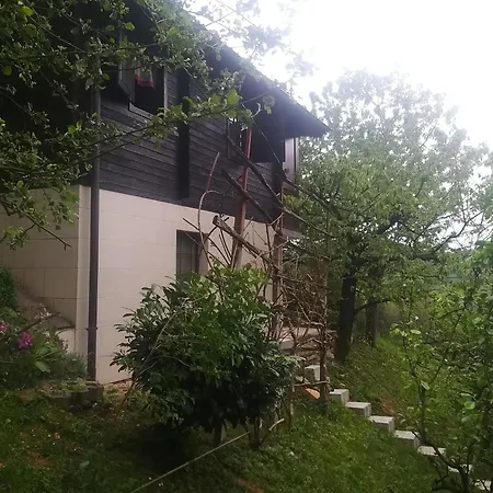 Hiska Ob Gozdu Dağ evi