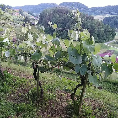 Hiska Ob Gozdu Chalet Nova Cerkev